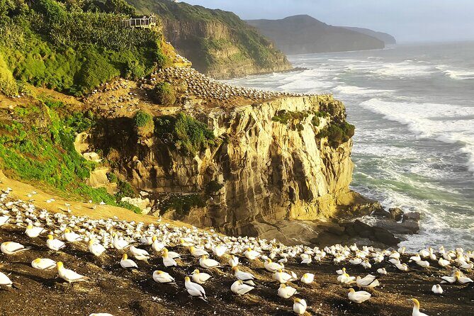 12 Day New Zealand Private Tour from Auckland to Queenstown - A Private Auckland-to-Queenstown Plan That Cuts the Chaos