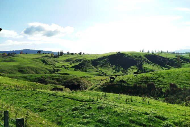 12 Day New Zealand Private Tour from Auckland to Queenstown - Queenstown Gardens, Skyline Thrills, and Choosing Between Jet Boating and the Gondola