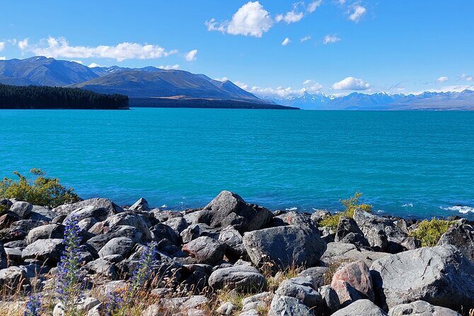 12 Day New Zealand Private Tour from Auckland to Queenstown - Price Check: What $8,470.83 Buys (and What You Still Pay For)