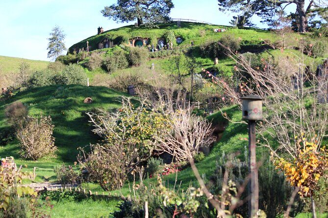 2-Day Hobbiton, Rotorua, Waitomo Caves Tour from Auckland with Accommodation - Auckland to Rotorua’s north island rhythm: the 6:25am start and driving reality