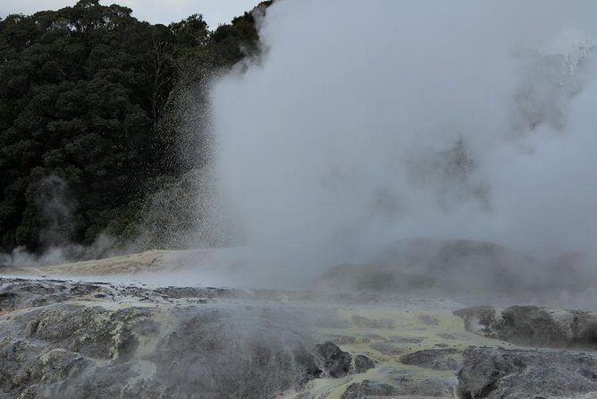 2-Day Hobbiton, Rotorua, Waitomo Caves Tour from Auckland with Accommodation - Transfers, guide handoffs, and how the group size affects your day