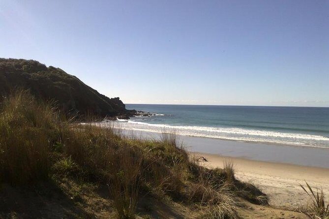 2 Hour Surf Lesson - Te Arai Beach - Before you even paddle: check-in, gear up, and stay safe