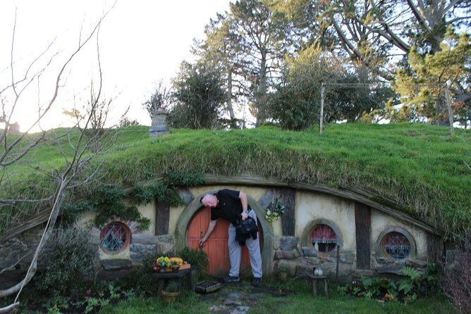 3 Day Bay Of Islands Tour from Auckland including Waitangi and Cape Reinga - Day 3: Ipipiri cruise time, Hole in the Rock, and the return to Auckland