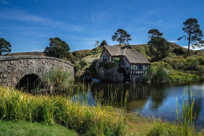 4-Day Auckland to Wellington via Rotorua Tour - Hotels and comfort: where the tour tends to do well