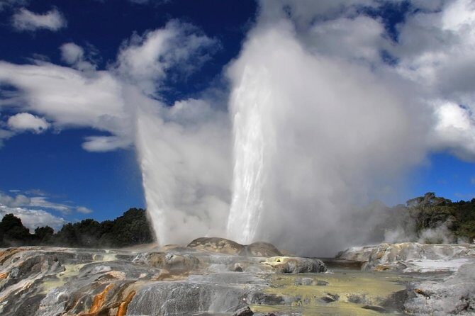 4-Day Auckland to Wellington via Rotorua Tour - Who this tour suits best (and who should think twice)
