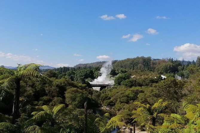 4-Day Auckland to Wellington via Rotorua Tour - Day 2: Whakarewarewa Maori performance plus a free Rotorua afternoon