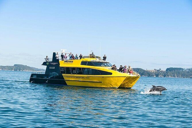 5-Day Bay of Islands, Auckland, Hobbiton, Rotorua & Waitomo Tour - Key points before you go