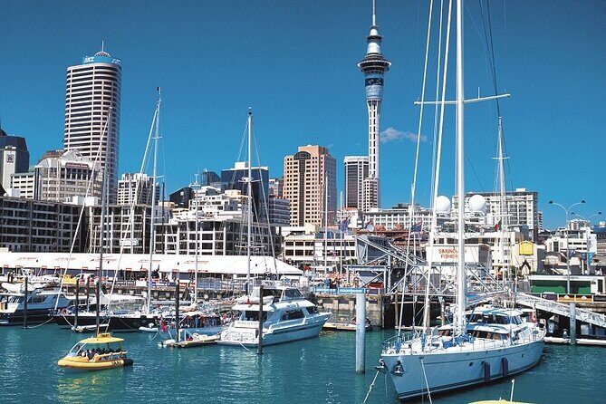 5-Day Bay of Islands, Auckland, Hobbiton, Rotorua & Waitomo Tour - Day 2: Waitangi Treaty Grounds, then Auckland Central