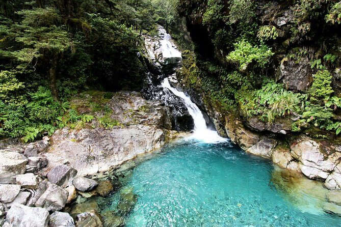 6 Day South Island New Zealand Private Tour from Auckland - Day 5: Fiordland National Park day trips, Milford Sound or Doubtful Sound