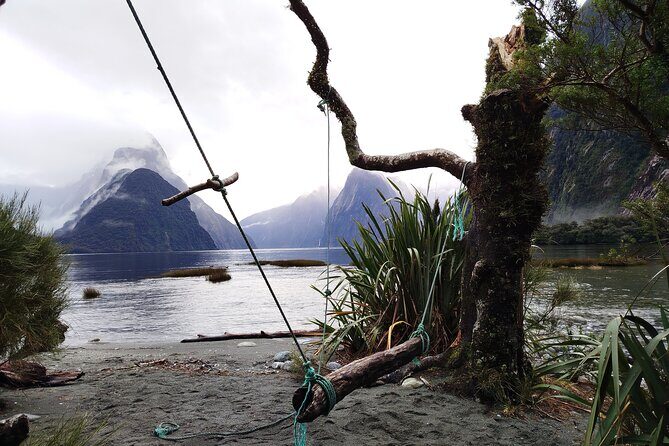 6 Day South Island New Zealand Private Tour from Auckland - Day 6: Te Anau Glowworm Caves, then Kiwi Park or a hot pool soak