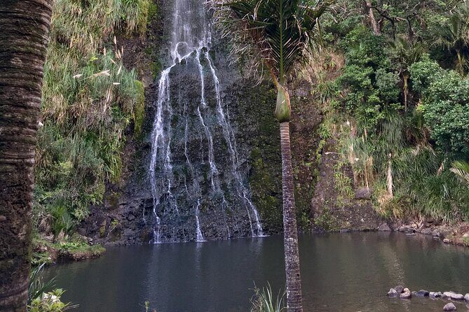 6 Hours Sightseeing Tour in Auckland - Karekare Falls: Short Hike to a Calm Waterfall Break
