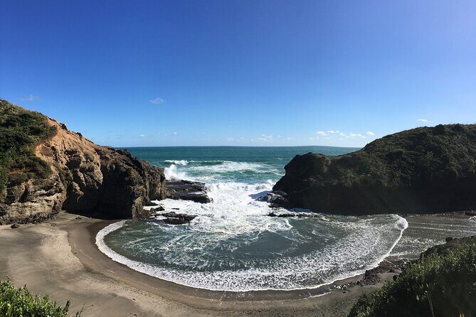 6 Hours Sightseeing Tour in Auckland - Getting Around Auckland: Pickup, Private Van, and a Small Group