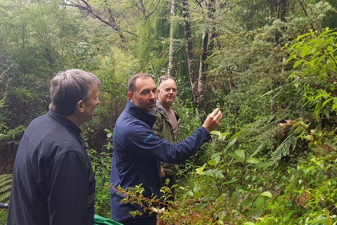 Afternoon Piha Beach and Rainforest Tour from Auckland - How this afternoon tour makes west Auckland simple
