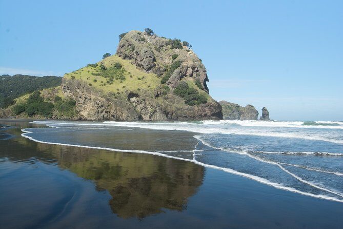 Afternoon Piha Beach and Rainforest Tour from Auckland - The rainforest walk at Arataki: tree ferns and bird calls