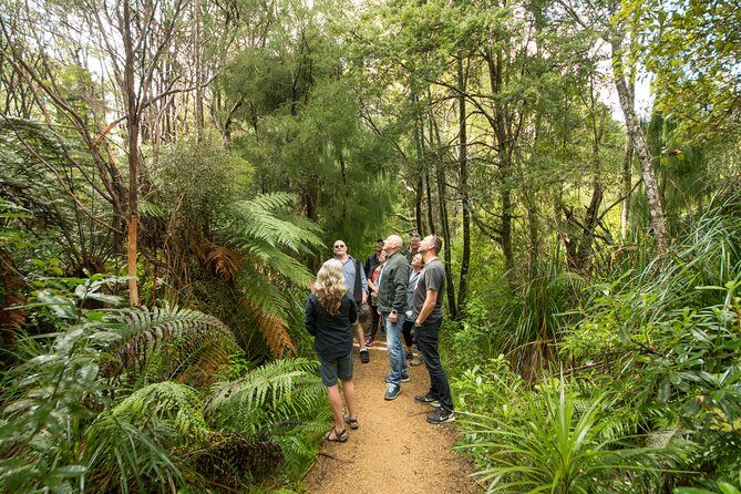 Afternoon Piha Beach and Rainforest Tour from Auckland - Price and value: why $124.11 can make sense