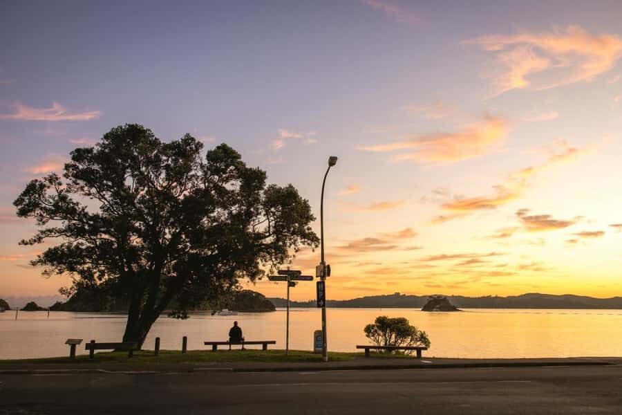 Auckland: 2-Day Bay of Islands Small Group Tour with Cruise - Auckland Harbour Bridge to the Kauri Museum: your Day 1 gets moving fast