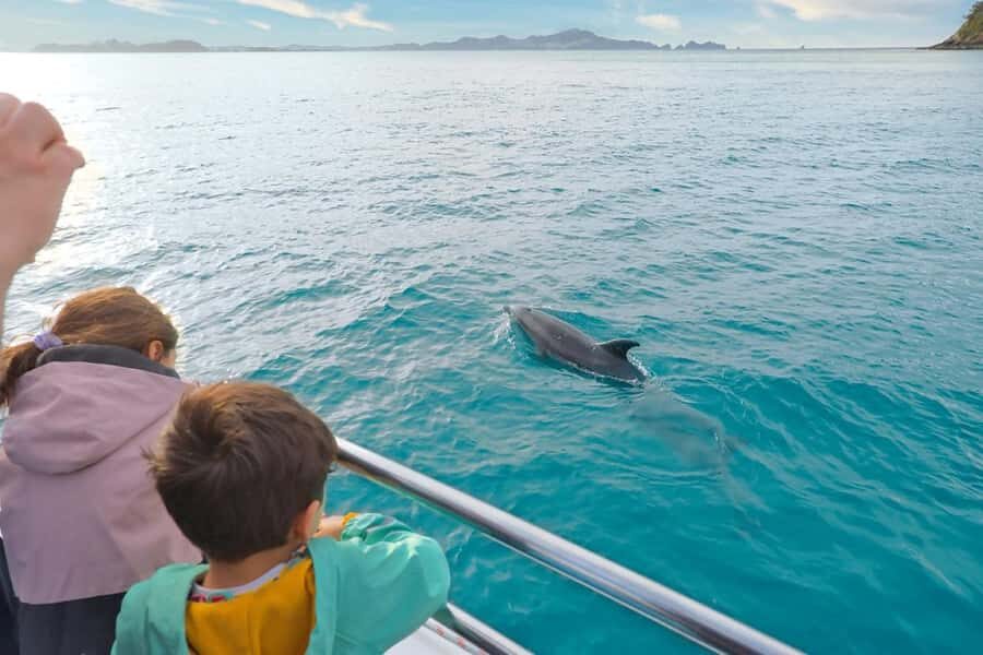 Auckland: 2-Day Bay of Islands Small Group Tour with Cruise - Hotel in Paihia: the “right base” for your cruise day
