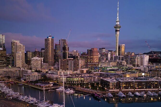 Auckland Airport Private One-Way or Round-Trip Transfer - Price and Value: What $72.12 Covers for Up to 3
