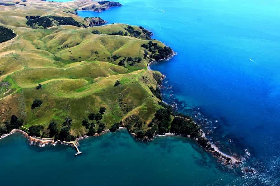 Auckland: Auckland City & Hauraki Gulf Scenic Flight - Sky Tower half-orbit: the photo pass you’ll actually use