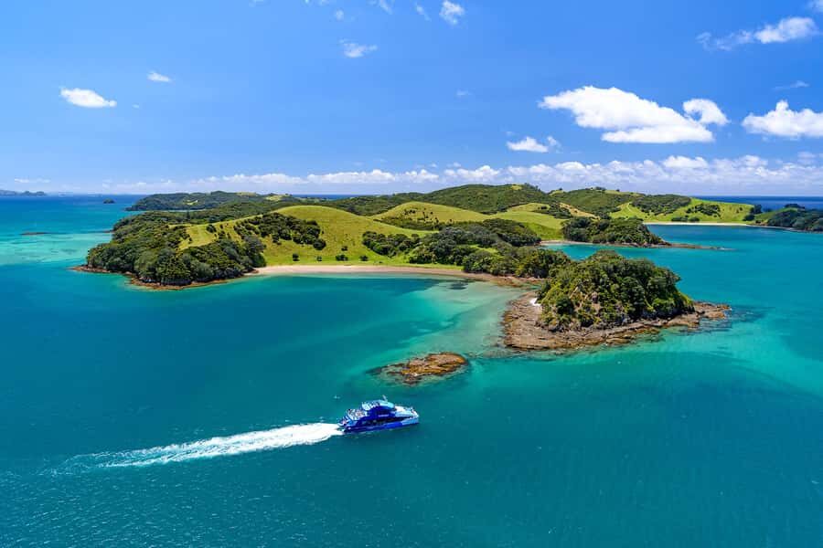 Auckland: Bay of Islands Day Tour with Dolphin Cruise - Key Things I’d Bet You’ll Enjoy