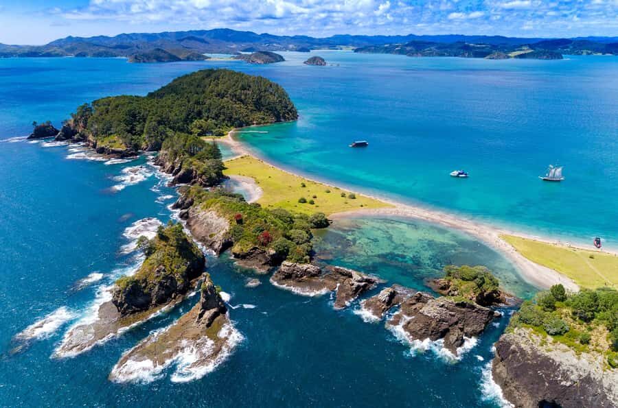 Auckland: Bay of Islands Day Tour with Dolphin Cruise - Auckland to Bay of Islands: the drive is part of the show