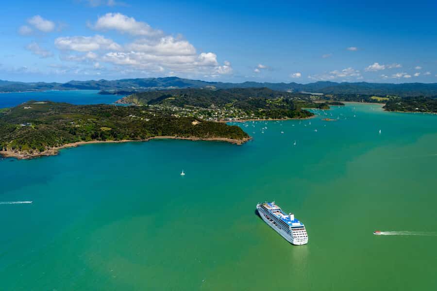 Auckland: Bay of Islands Day Tour with Dolphin Cruise - Cape Brett and the search game: how to make the wildlife scan work