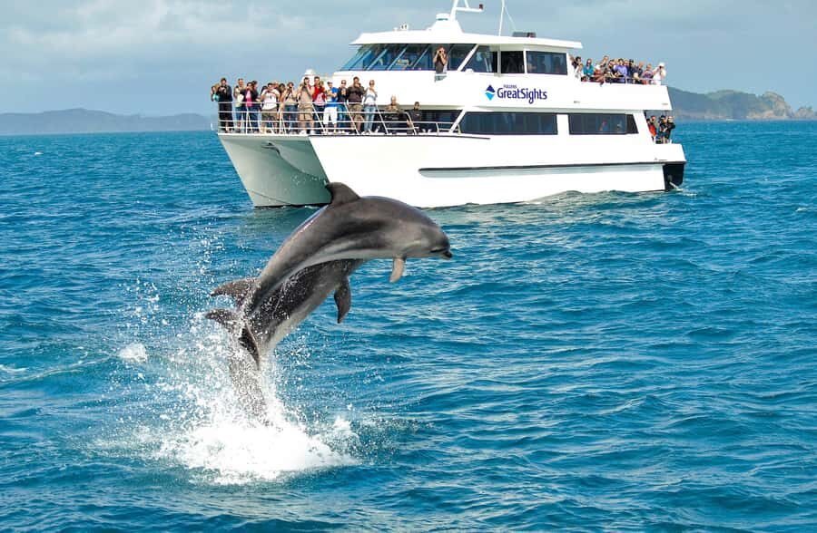 Auckland: Bay of Islands Day Tour with Dolphin Cruise - Urupukapuka Island at Otehei Bay: your 90-minute reset
