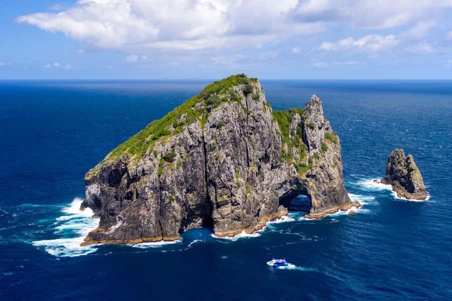 Auckland: Bay of Islands Day Tour with Dolphin Cruise - Price and value: is $283 a fair deal?