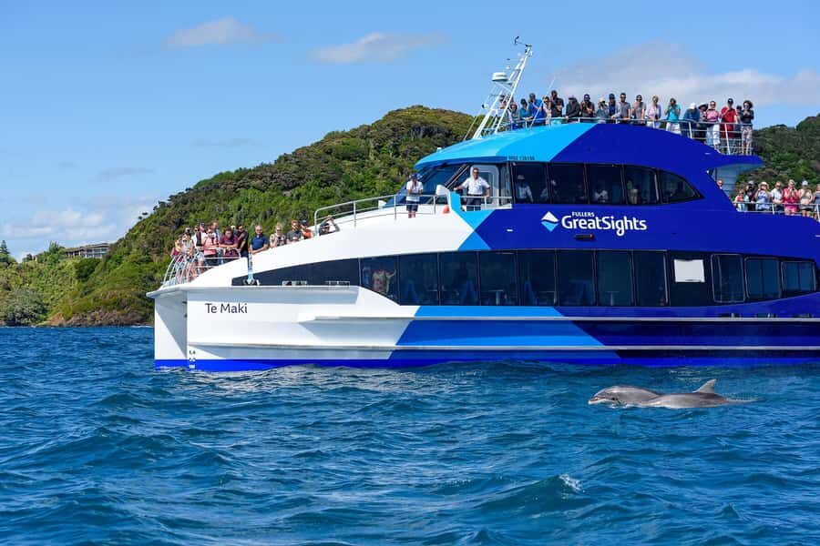 Auckland: Bay of Islands Day Tour with Dolphin Cruise - Who this Auckland to Bay of Islands dolphin tour suits best
