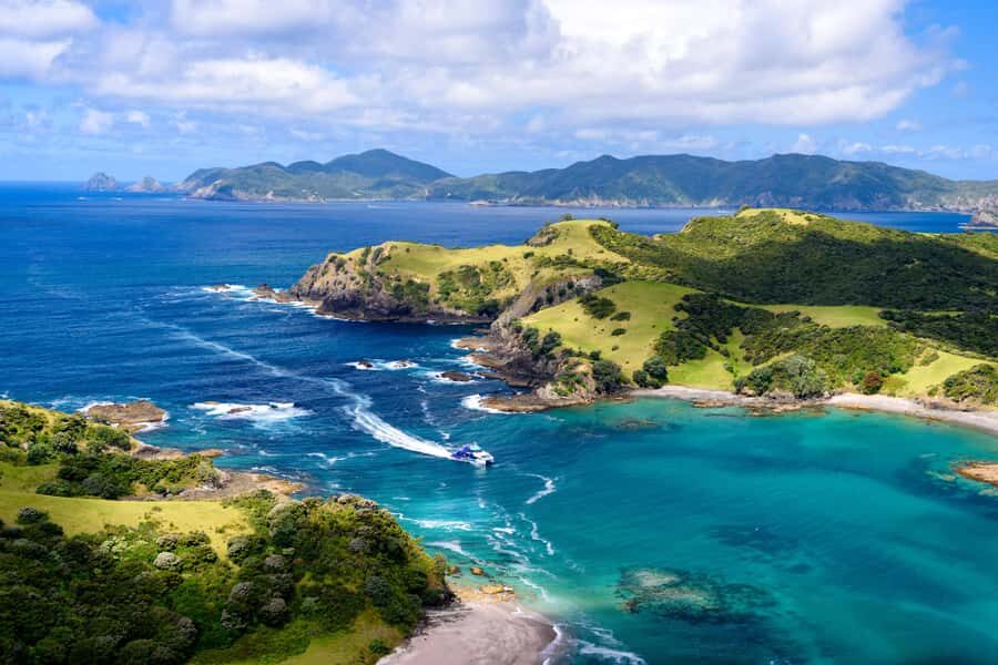 Auckland: Bay of Islands Day Tour with Dolphin Cruise - The catamaran cruise: dolphins, cliffs, and Hole in the Rock