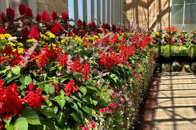 Auckland Best Top 5 Spots Half day Tour - Auckland Domain Winter Gardens: Temperate and Tropical Glasshouse Time