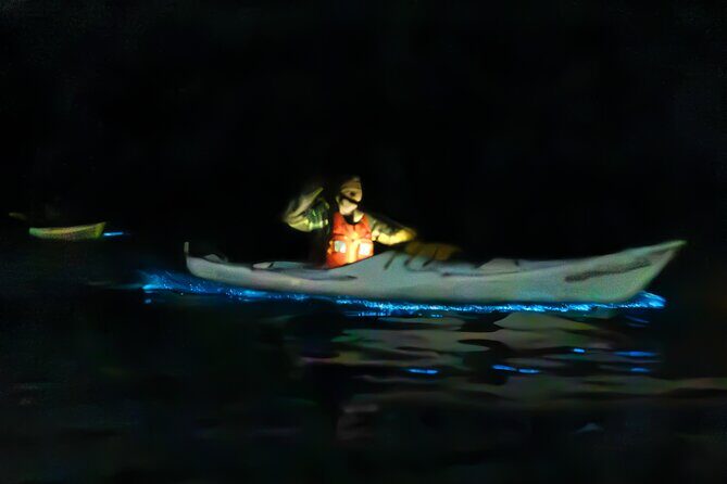 Auckland Bioluminescence Kayak Tour - Key highlights worth your attention