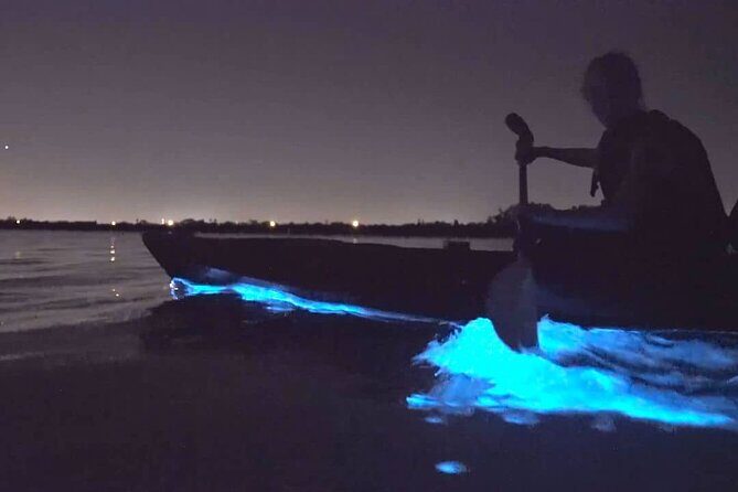 Auckland Bioluminescence Kayak Tour - Two hours on the water: what your timeline actually feels like