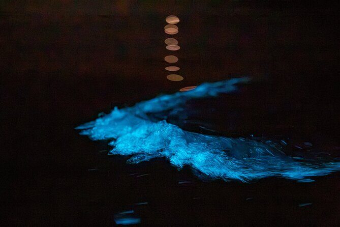 Auckland Bioluminescence Kayak Tour - Photo-ready water: how to think about your camera plan