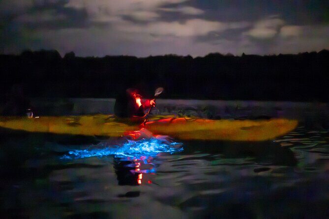 Auckland Bioluminescence Kayak Tour - Who should book this kayak tour (and who should think twice)
