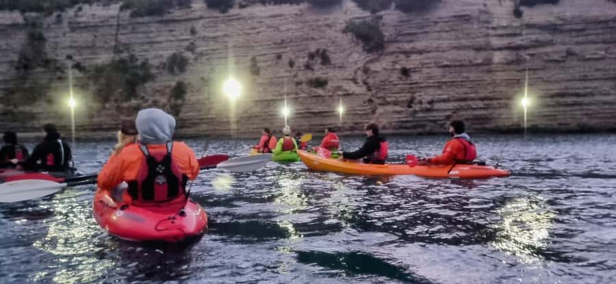 Auckland: Bioluminescence Kayak Tour with Guide - What to Bring (So You’re Not Miserable Mid-Glitter)
