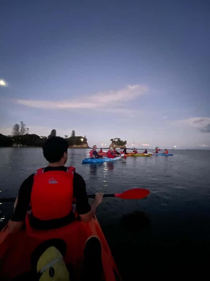 Auckland: Bioluminescence Kayak Tour with Guide - Price and Value: $71 for a Guided Night Science Moment