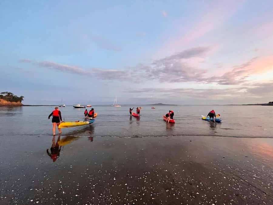 Auckland: Bioluminescence Kayak Tour with Guide - My Booking Checklist: Make Sure You Actually See the Glow