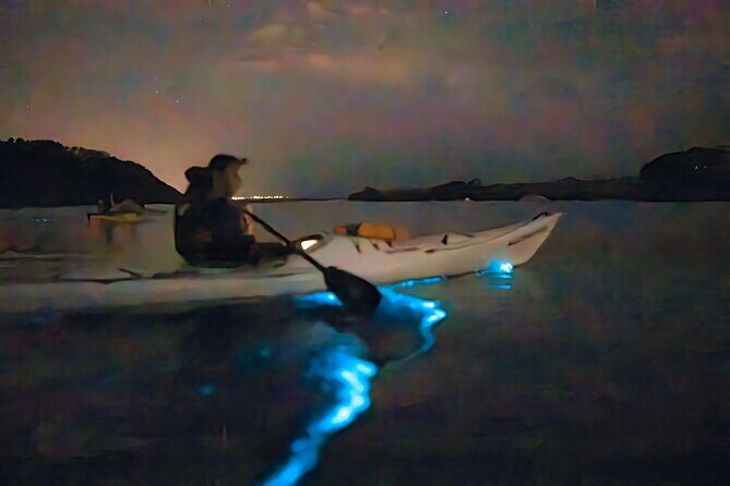 Auckland Bioluminescence Kayak Tour - Safety and comfort: how the tour handles the night part