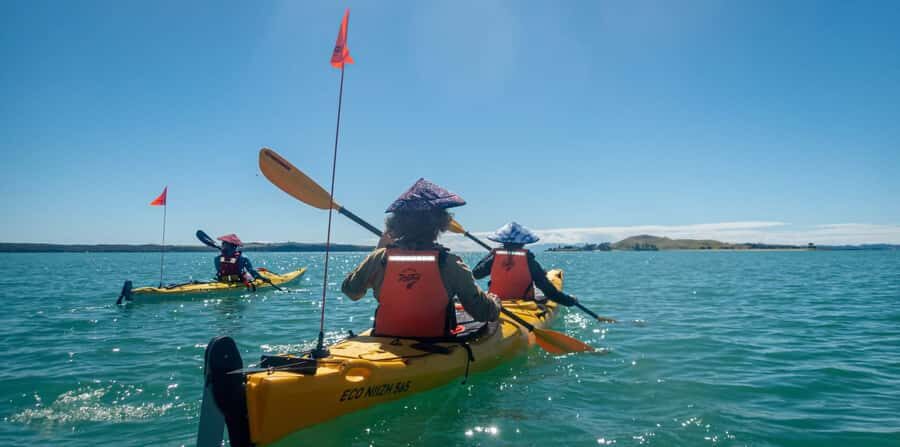 Auckland: Browns Island (Motukorea) Sea Kayak Tour - Key highlights you’ll actually feel on the water