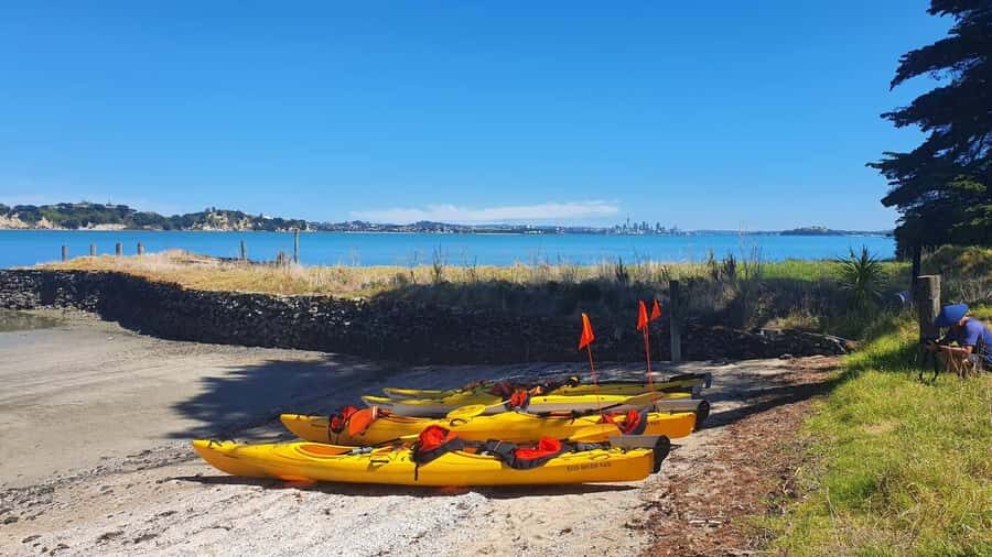 Auckland: Browns Island (Motukorea) Sea Kayak Tour - Should you book the Browns Island (Motukorea) sea kayak tour?