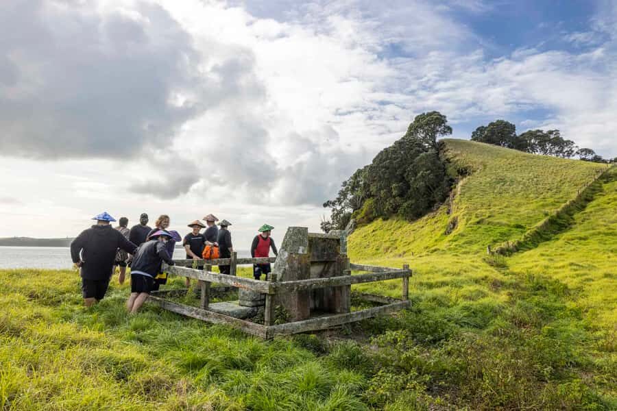 Auckland: Browns Island (Motukorea) Sea Kayak Tour - The “bird and animal watch” part that feels real, not forced