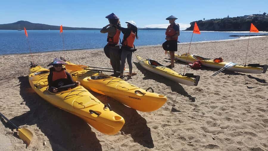 Auckland: Browns Island (Motukorea) Sea Kayak Tour - Wind, tides, and timing: the stuff that can make or break your day
