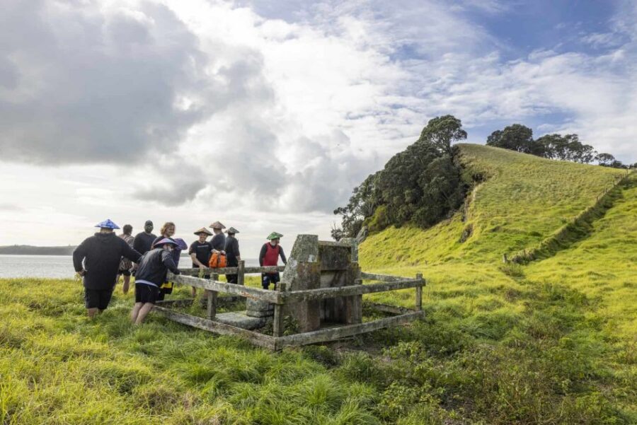Auckland: Browns Island (Motukorea) Sea Kayak Tour - Who this tour suits best