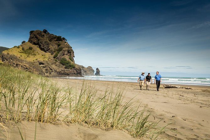 Auckland City and West Coast Full Day Tour - Why This Auckland + West Coast Mix Works
