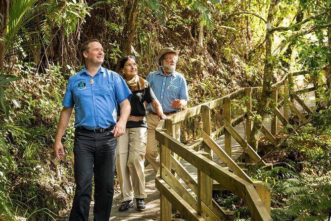 Auckland City and West Coast Full Day Tour - Arataki Visitor Centre and Waitakere Rainforest Views