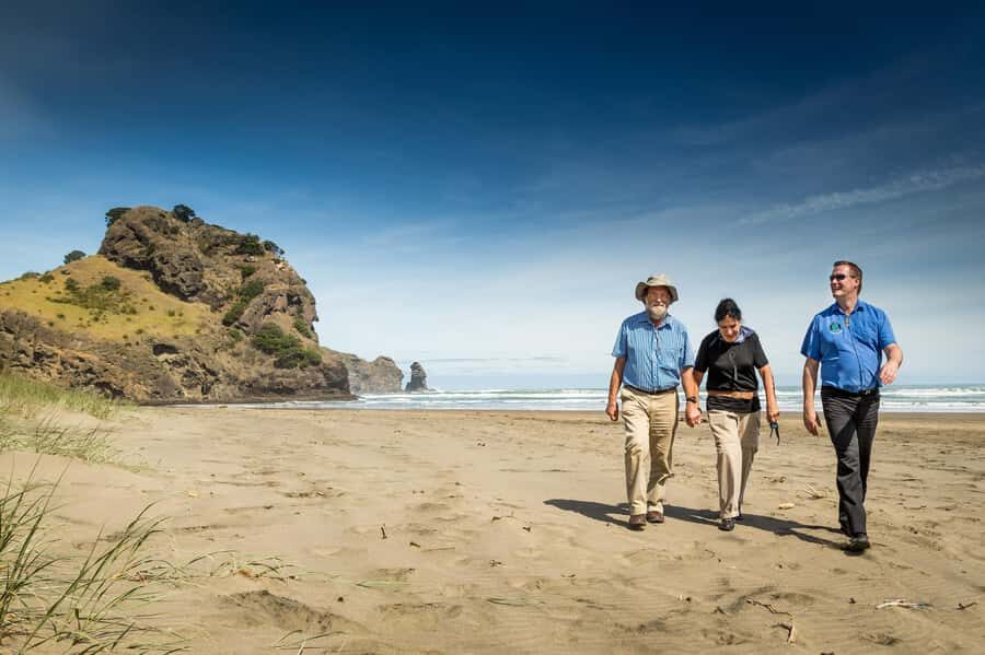 Auckland City and West Coast Luxury Tour - Pickup, timing, and what to plan around