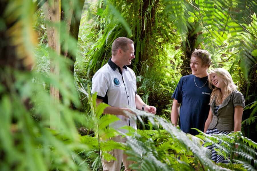 Auckland City and West Coast Luxury Tour - Parnell’s colonial charm without the tourist chaos