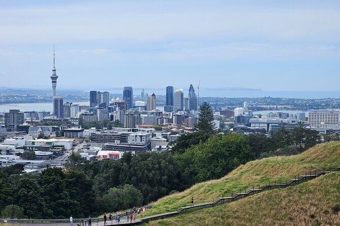 Auckland City Halfday Guide Tour - Key Highlights You’ll Feel Immediately