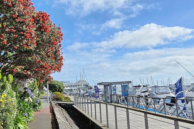Auckland City Halfday Guide Tour - Westhaven Marina: Skyline Views You’ll Remember Longer Than You Think